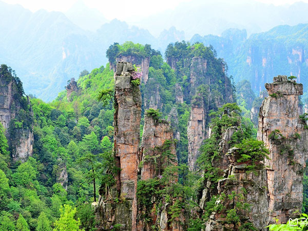 장가계 4/5일 #대구출발 #실속 #티웨이항공