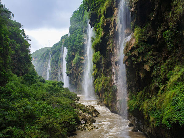 장가계 4/5일 #대구출발 #노팁노옵션 #사천항공 #품격