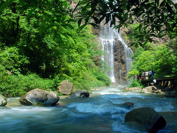 장가계 4/5일 [KT알파쇼핑] #부산출발 #노팁노옵션 #제주항공 #4명출발