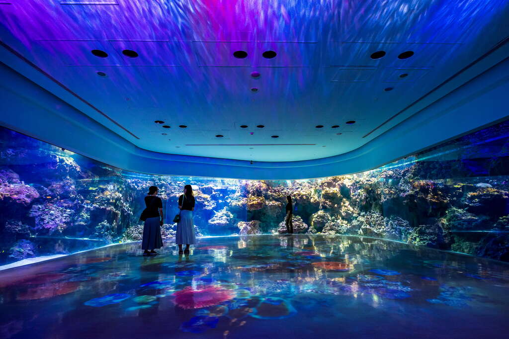 대만 3박4일 [프리미엄] #쓰쓰난춘 #아쿠아리움 #예스지 #시내호텔 #SNS맛집여행 #101타워 포함