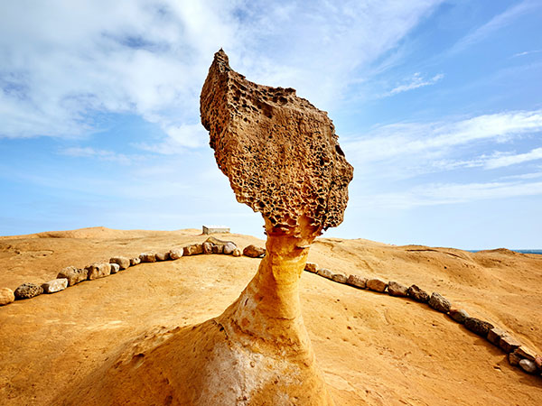 타이베이 4/5일 #부산출발 #품격 #내맘대로 #온천호텔 #식사업